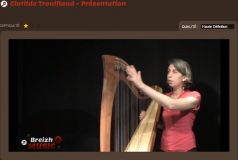 Presentation of the celtic harp